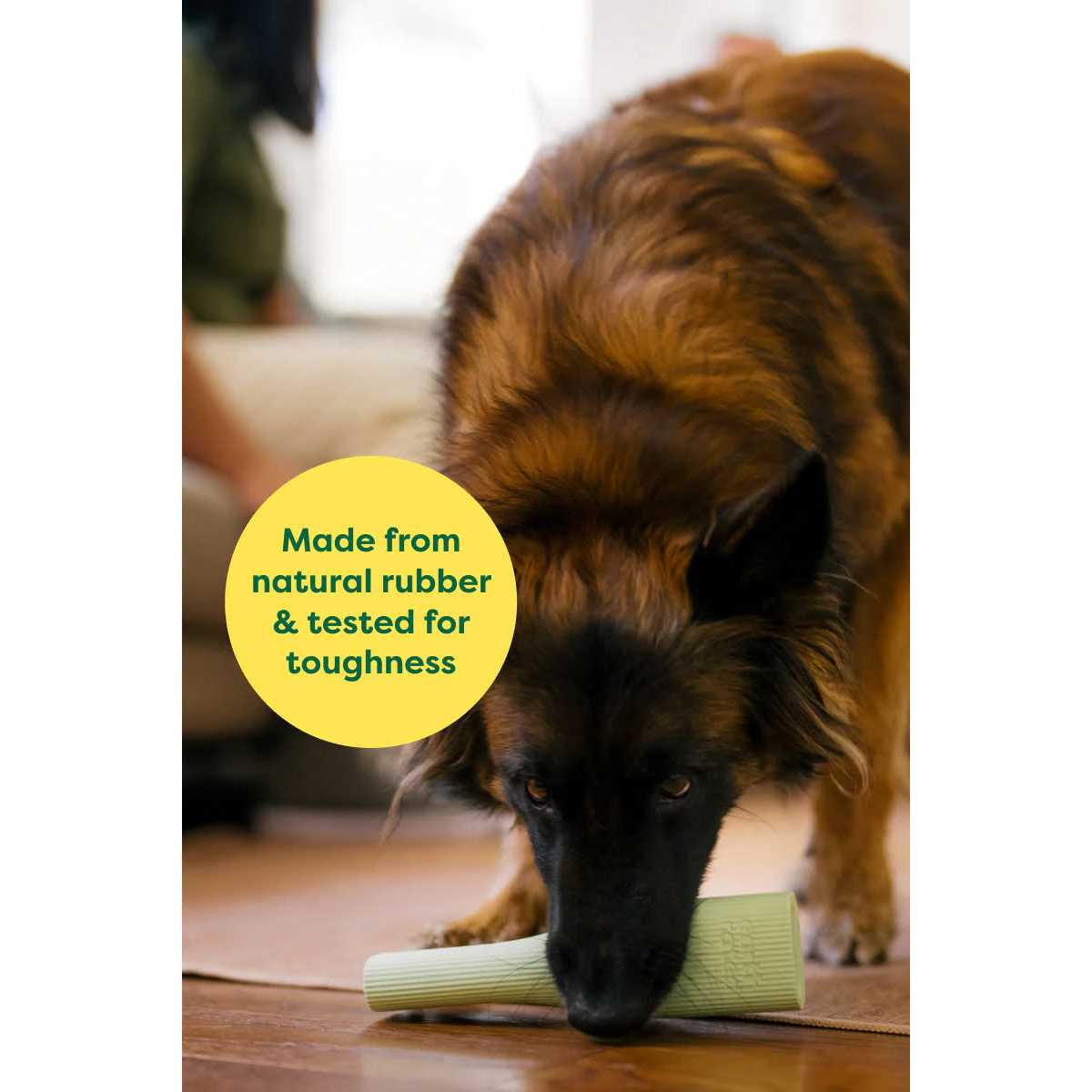 Rubber Chew Dog Toy O338