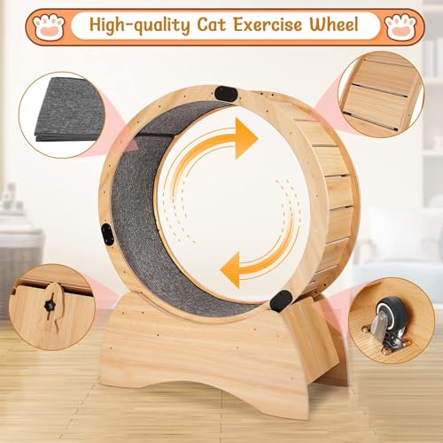 Large Wooden Cat Exercise Wheel with Lock Feature D4728