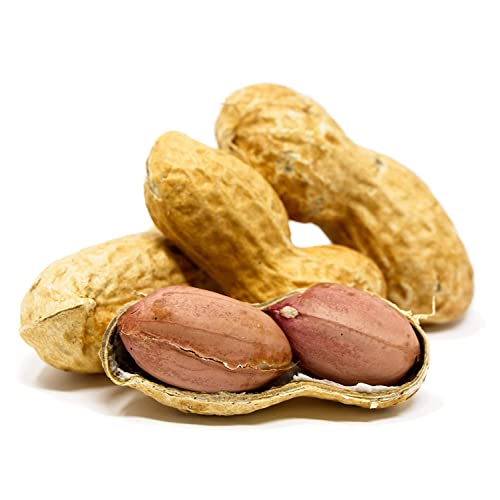 Whole in Shell Raw Peanuts 10lb R735855