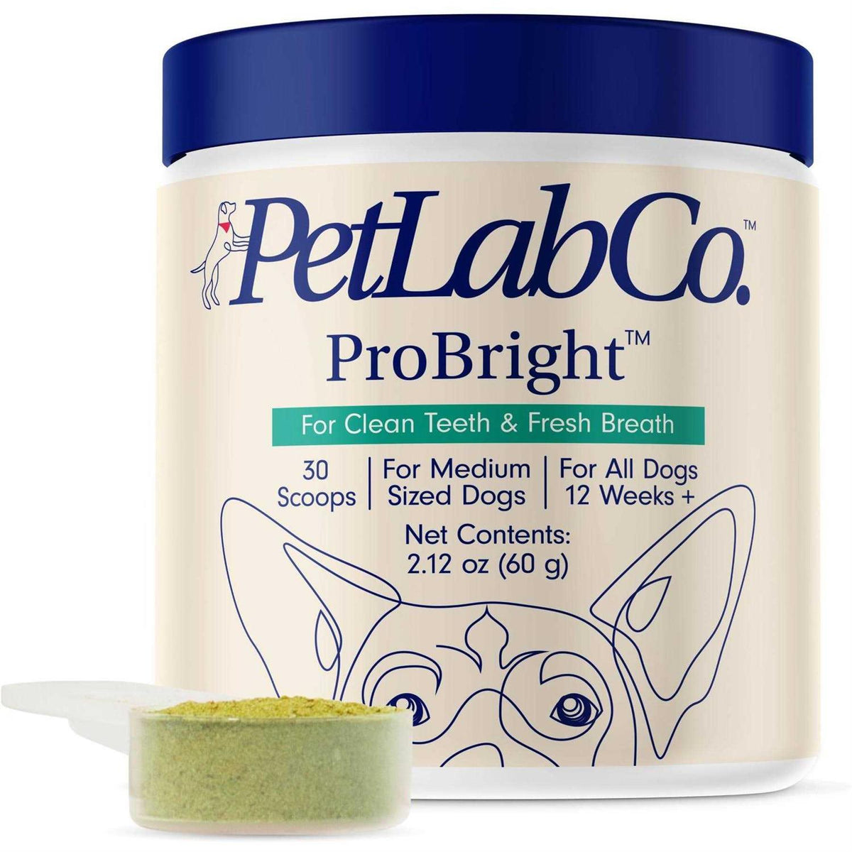 Dog Dental Powder G792734