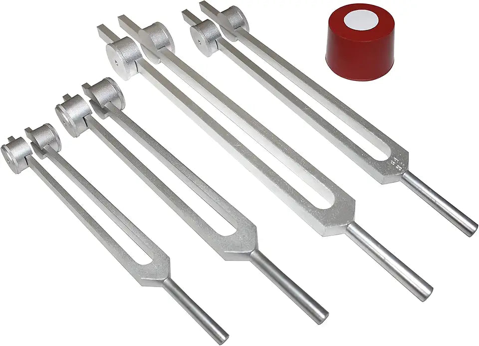 4 Tuning Forks with Activator and Pouch L162993