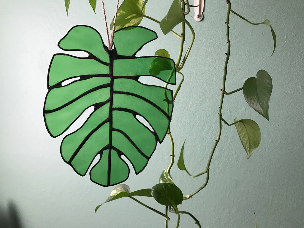 Stained Glass Monstera Leaf A649546