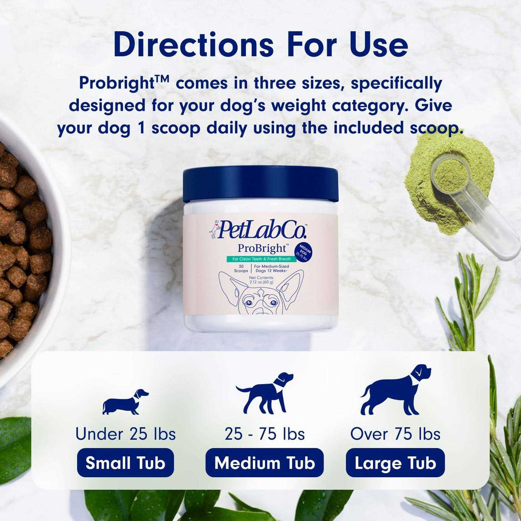 Dog Dental Powder G792734