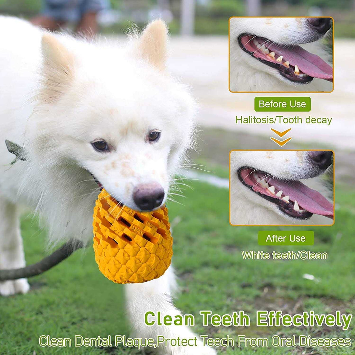 Dog Chew Toys Z674