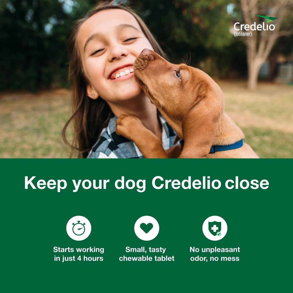 Chewable Tablet for Dogs S1837