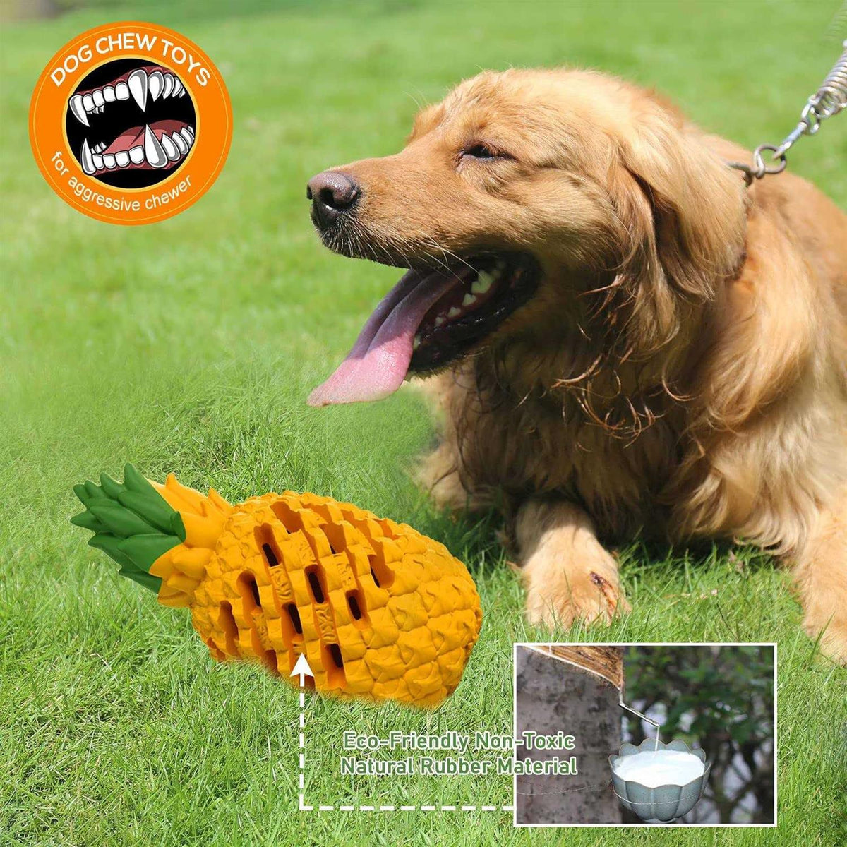 Dog Chew Toys Z674