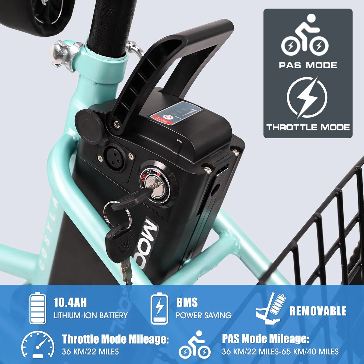 3 Wheel Electric Bike with Removable 36V 10Ah Lithium Battery Q11907