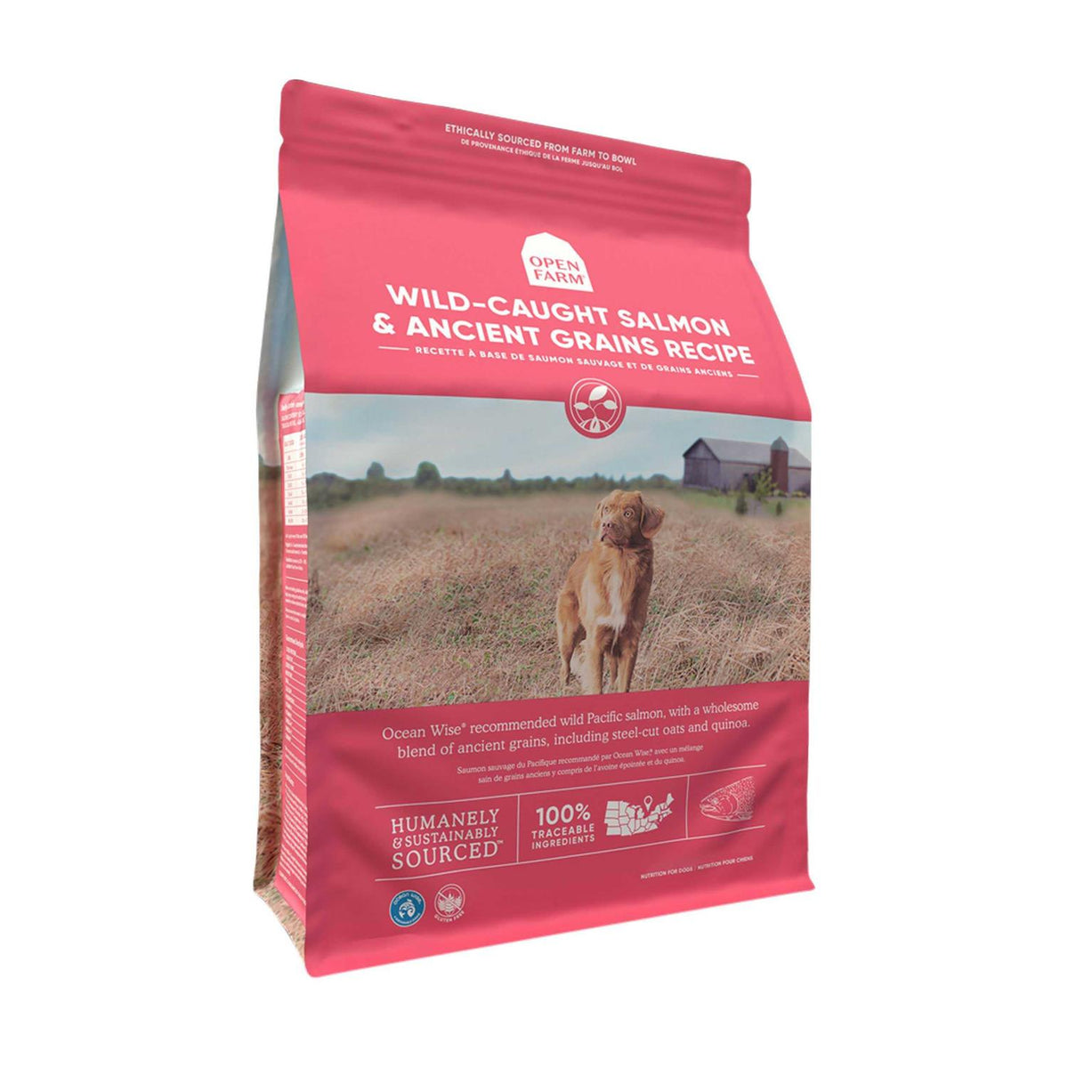 Ancient Grains Dog Food I723