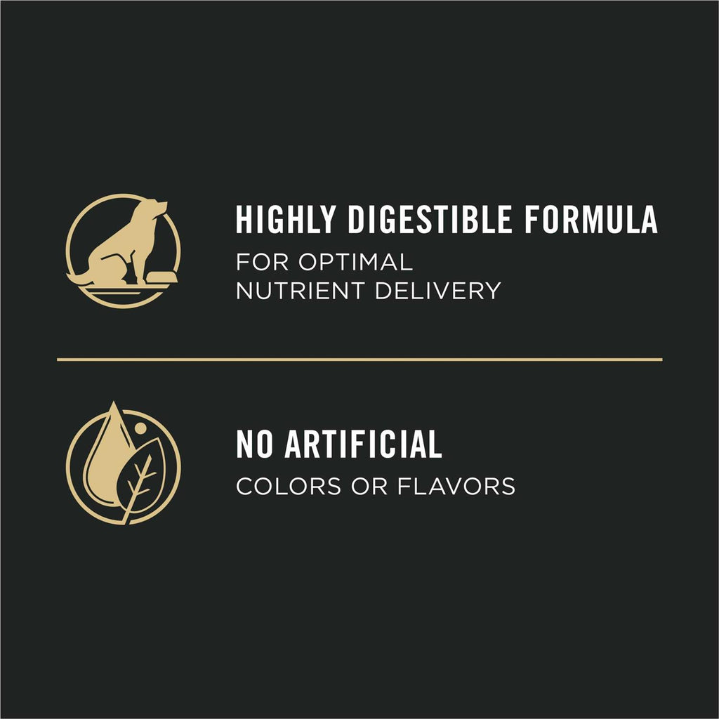 Senior Dry Dog Food Salmon & Rice Formula A616