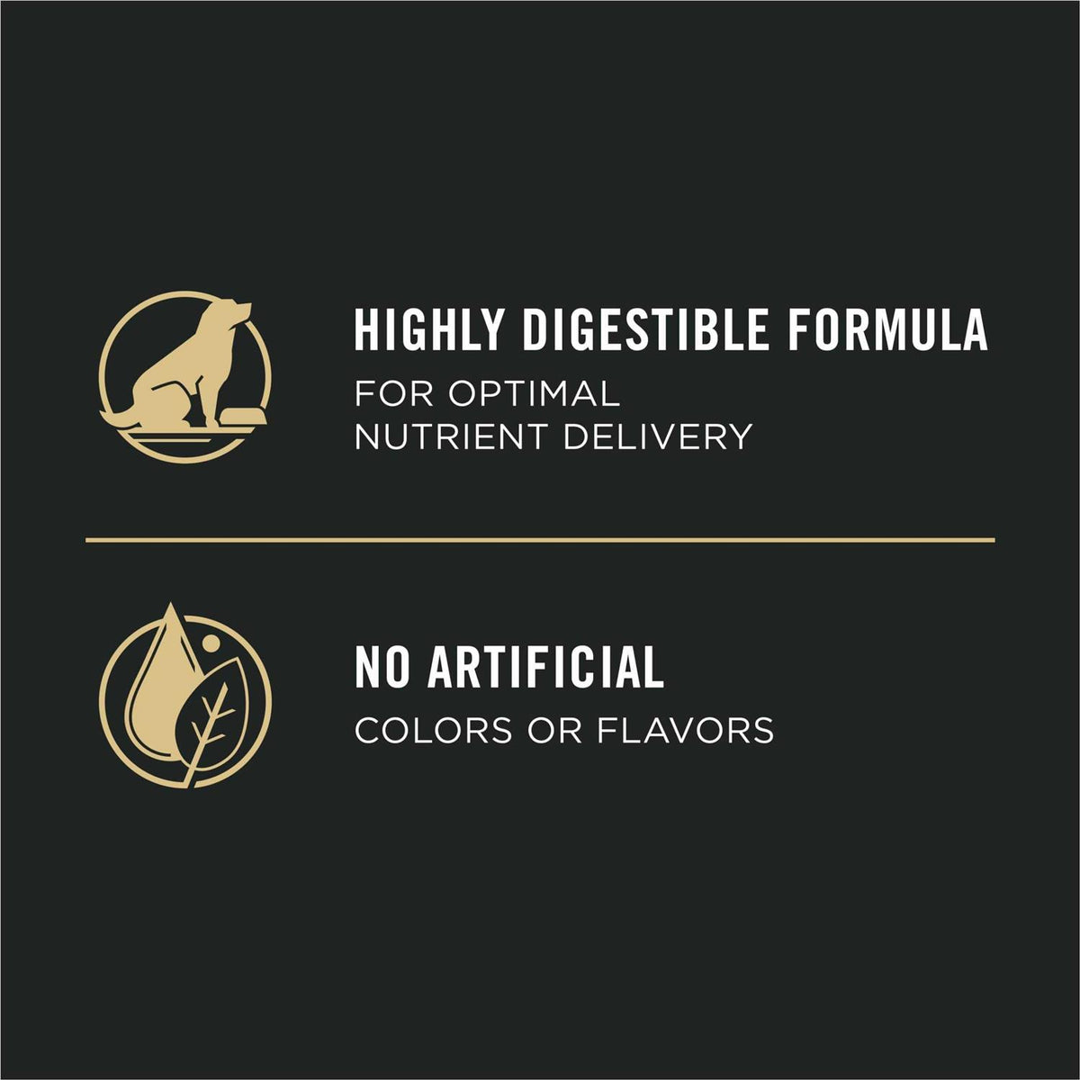 Senior Dry Dog Food Salmon & Rice Formula A616