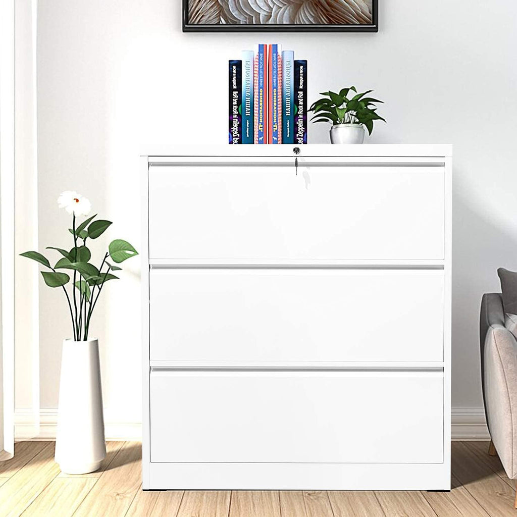 2 Drawer Lockable Metal Lateral File Cabinet with 4 Adjustable Hanging Bars S37348