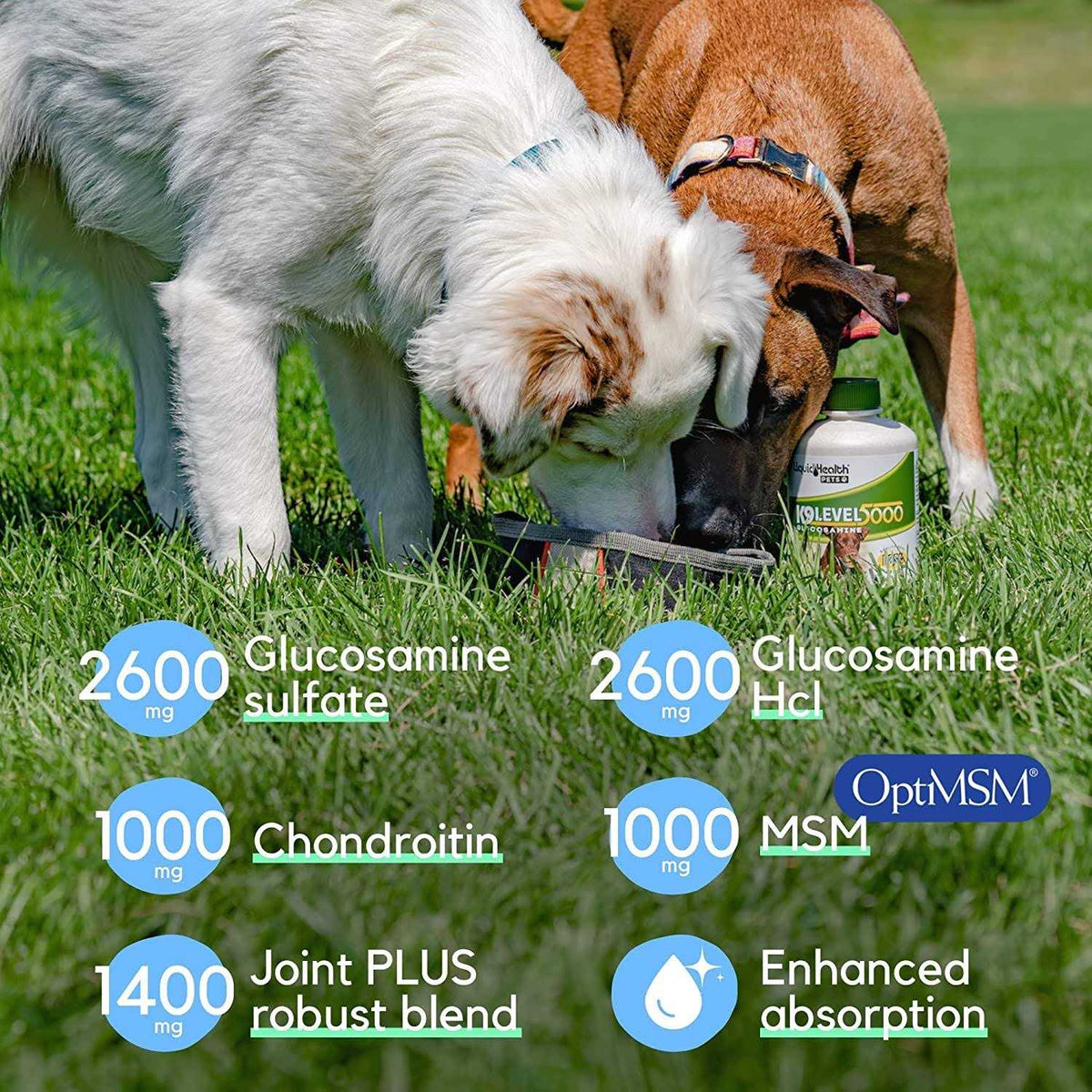 Glucosamine Pet Supplies J1402