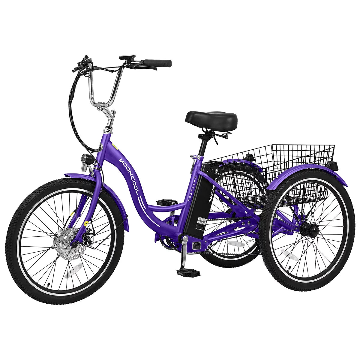 3 Wheel Electric Bike with Removable 36V 10Ah Lithium Battery Q11907