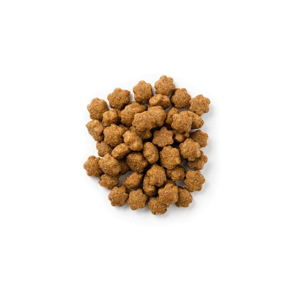 Salmon Cranberry Crunchy Cat Treats L964