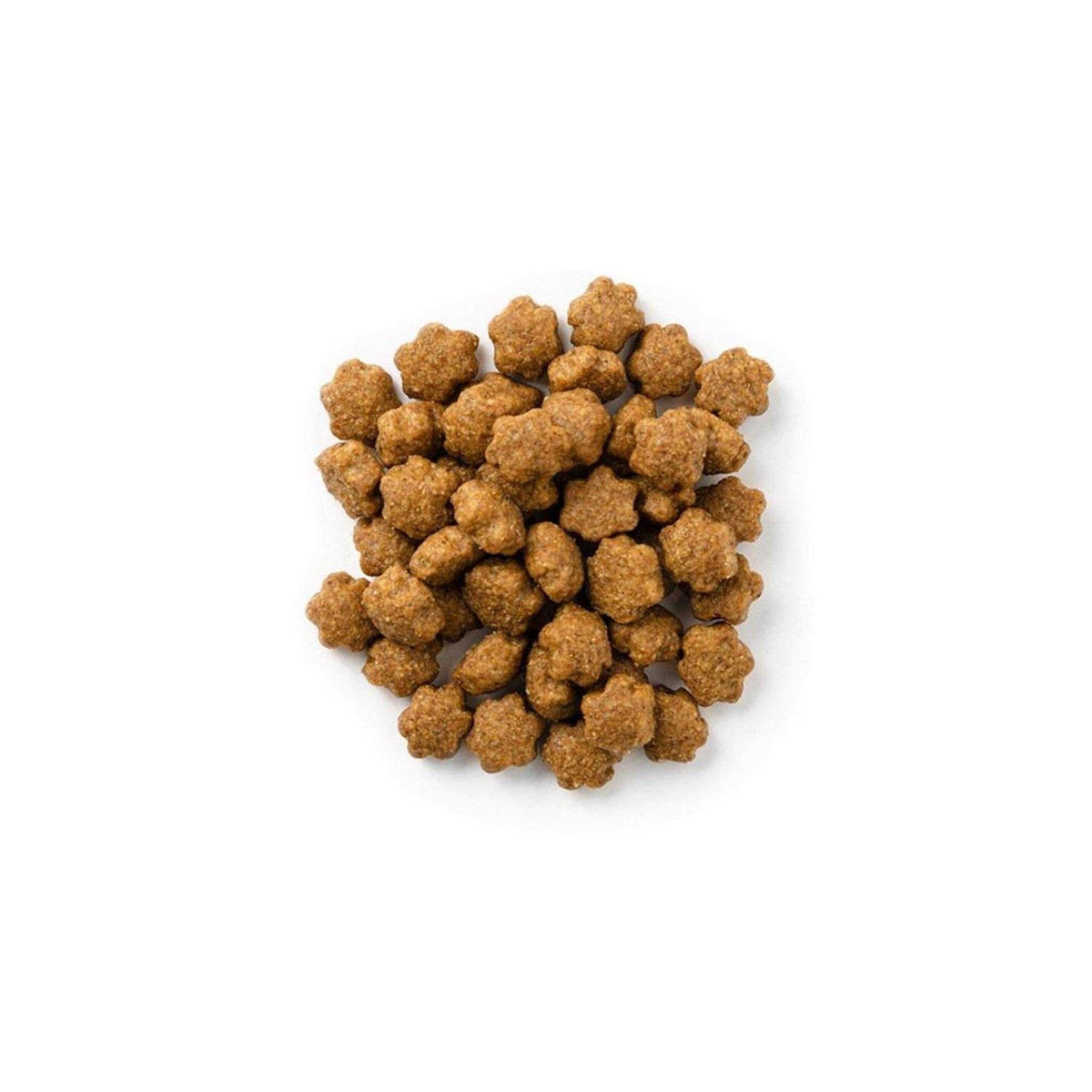 Salmon Cranberry Crunchy Cat Treats L964