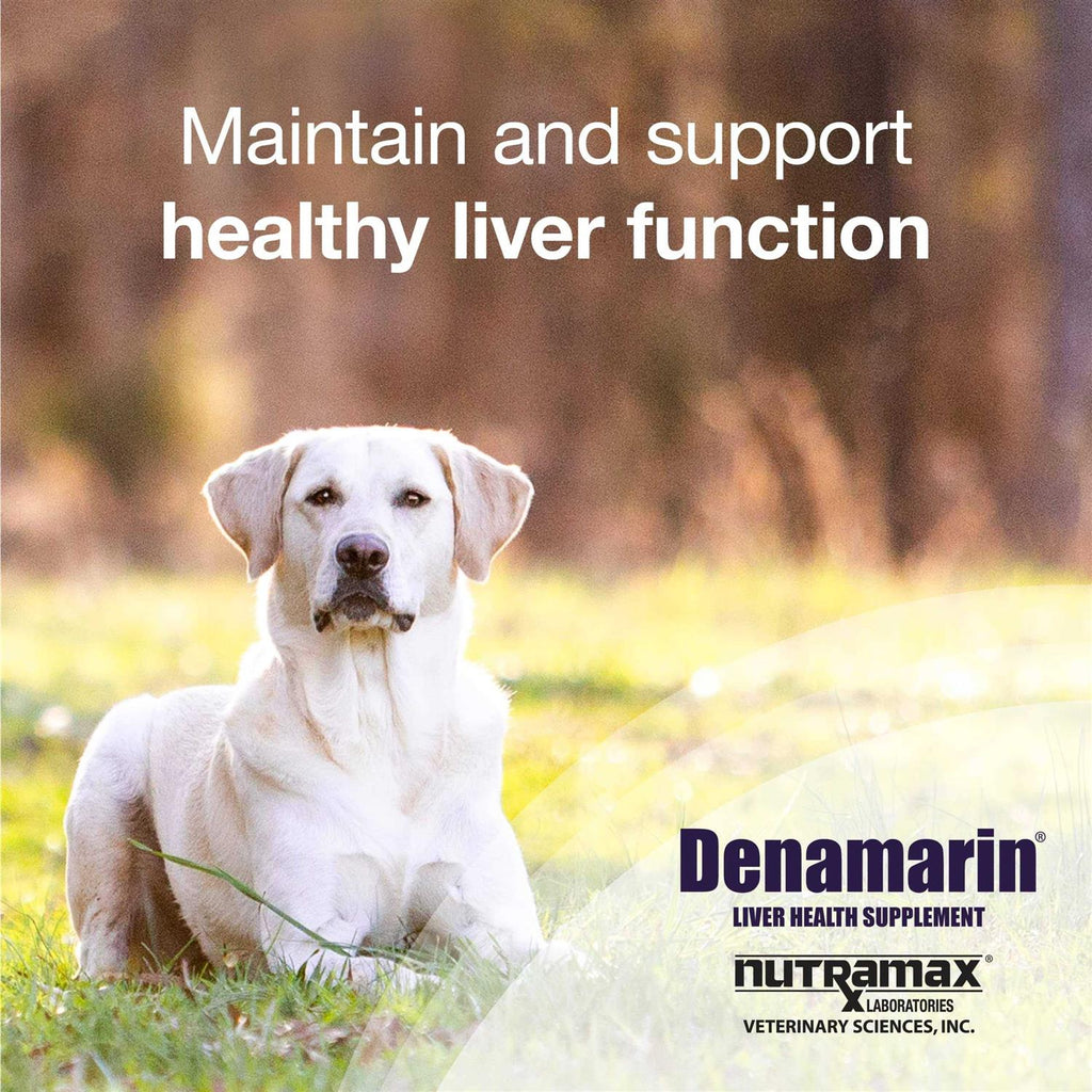 Denamarin for Dogs C165