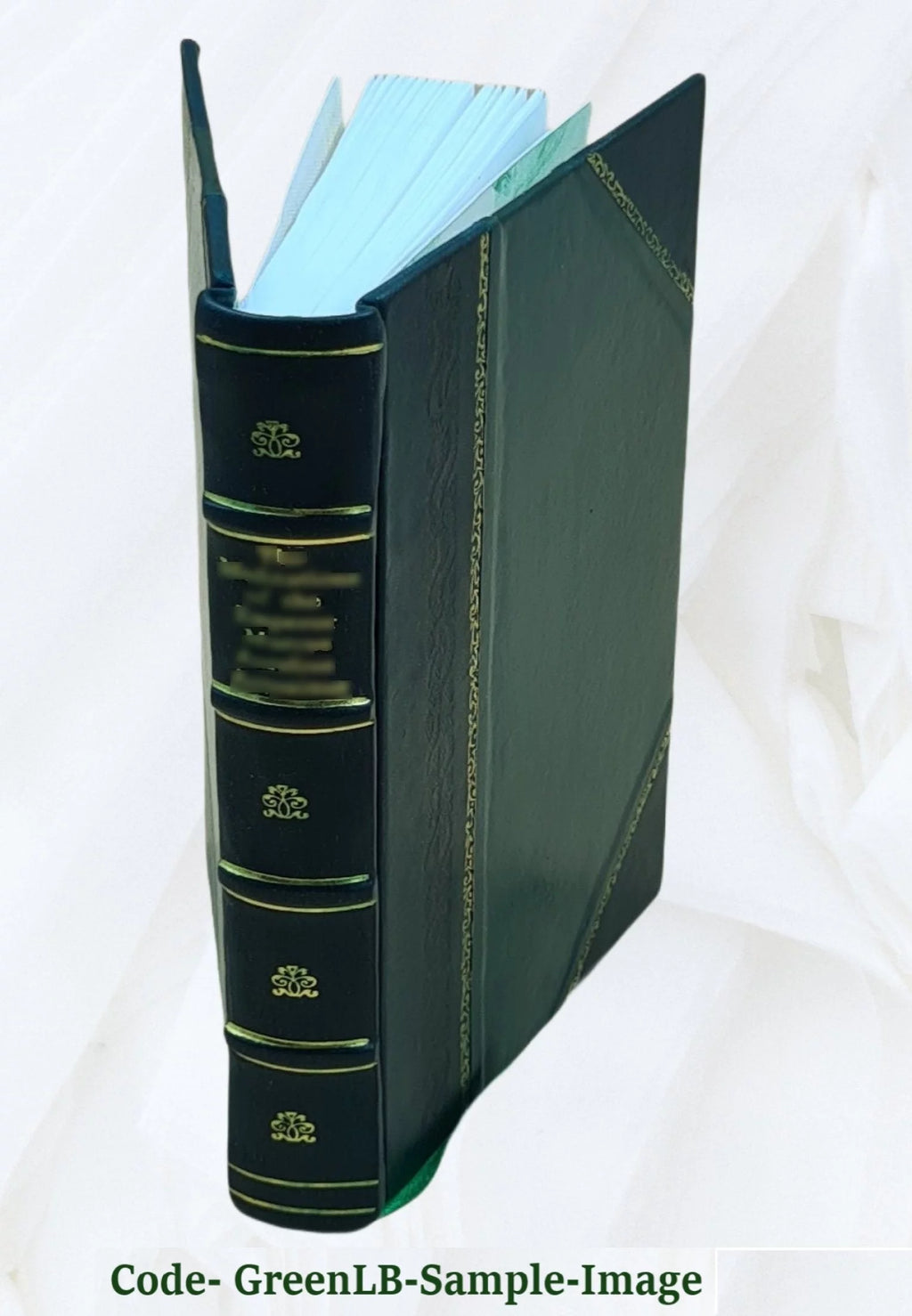 Leather Bound D78831