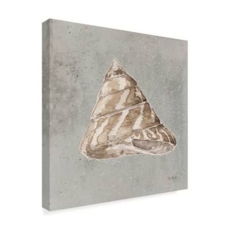 Sand and Seashells IV Art O303102