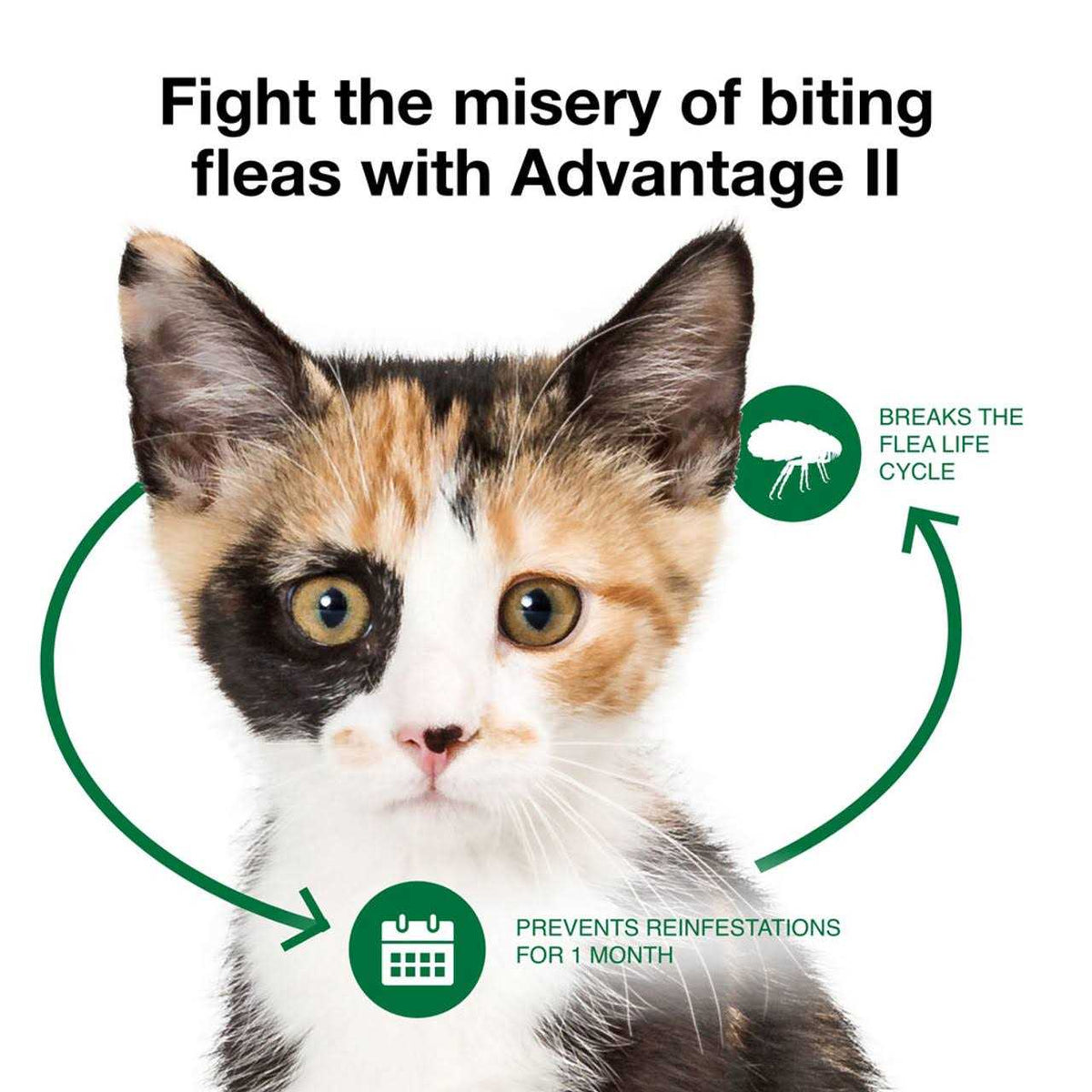 Advantage II Flea Treatment Cats V7542
