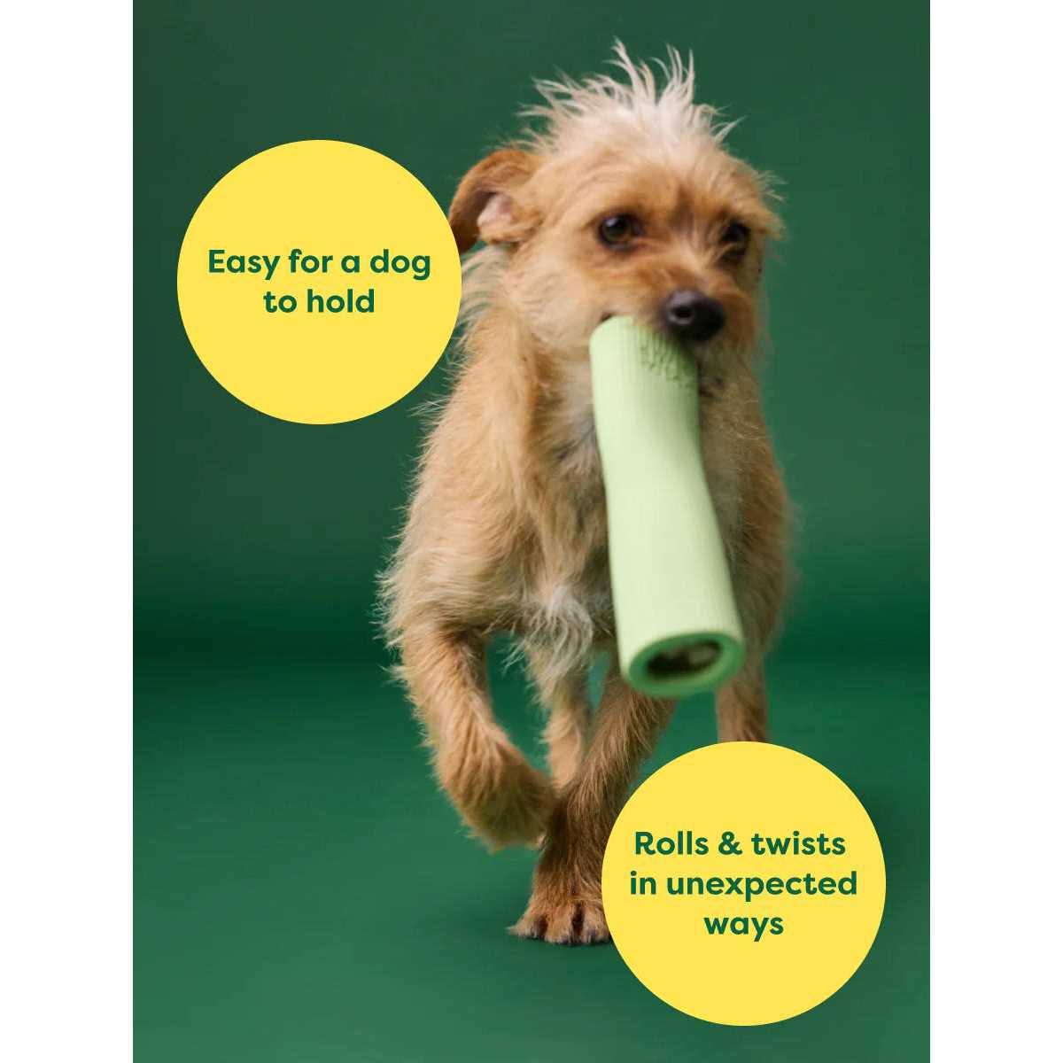 Rubber Chew Dog Toy O338