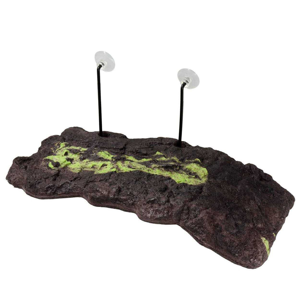 Floating Turtle Dock C187
