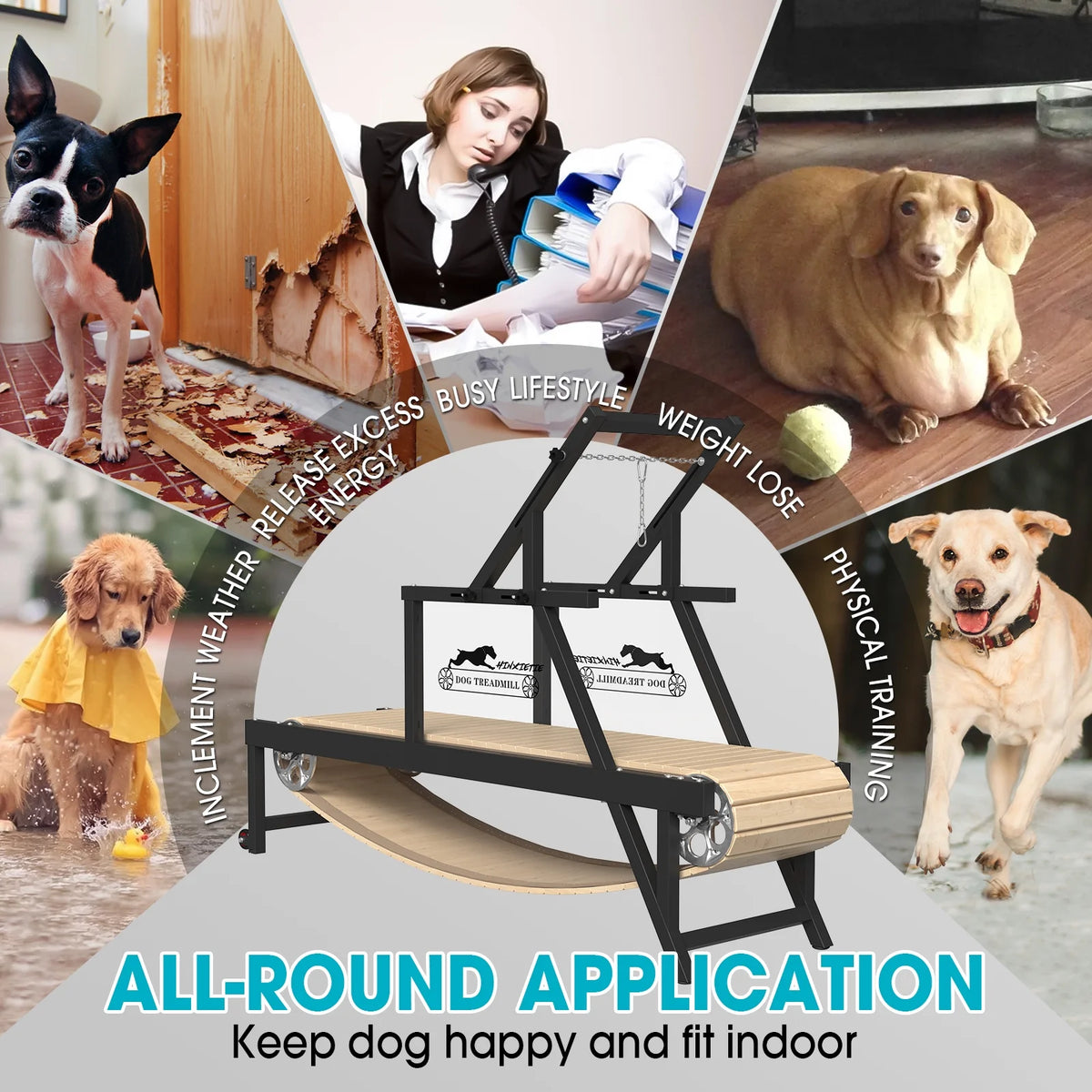 Dog Treadmill for Dogs up to 250 lb X728