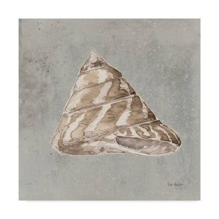 Sand and Seashells IV Art O303102