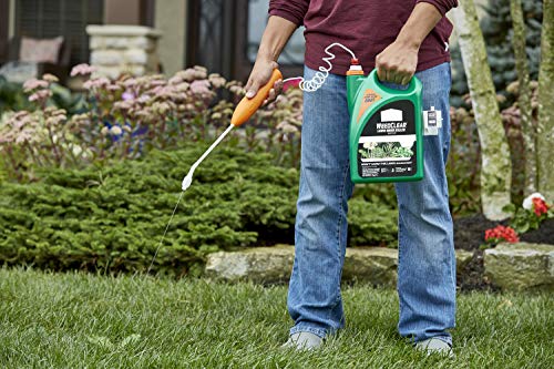 1.33 gal Lawn Weed Killer I1156