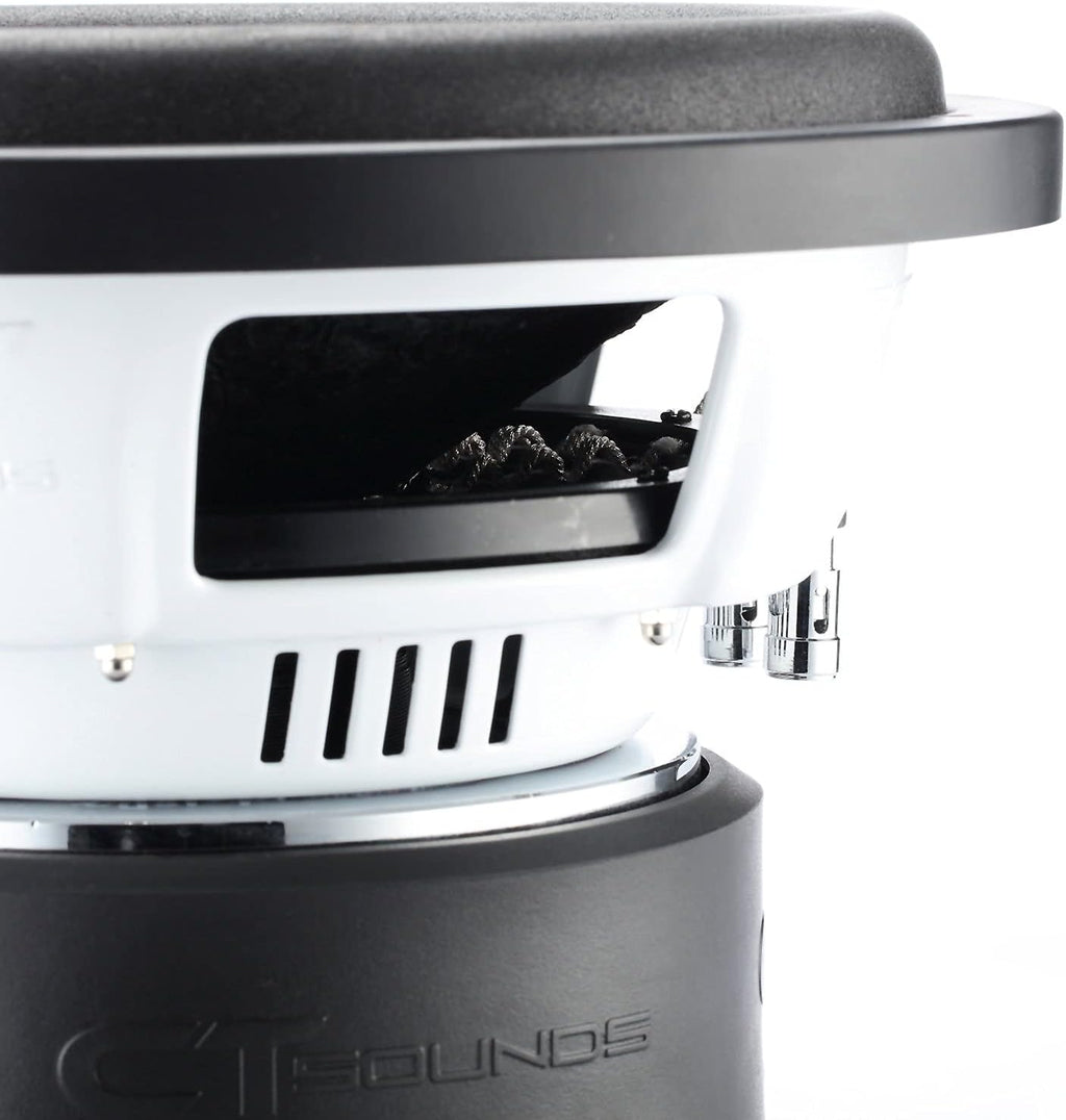 10 Inch 2000 Watts Max Dual 4 Ohm Car Subwoofer I3338