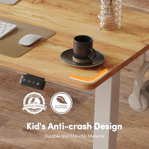 40 x 24 Inch Electric Standing Desk K878844