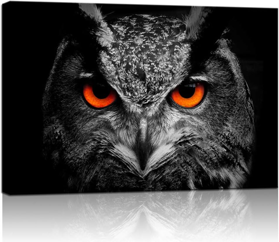 Black White Owl with Red Eyes Canvas Painting Framed Artwork J35332