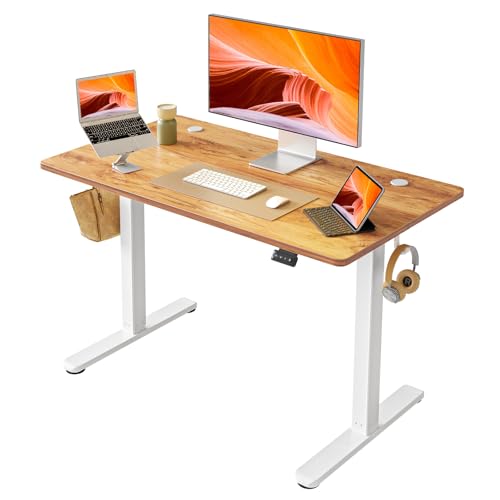 40 x 24 Inch Electric Standing Desk K878844