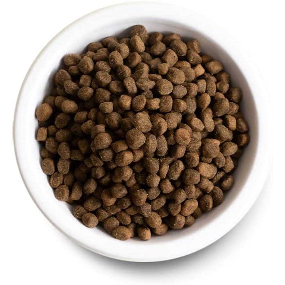 Ancient Grains Dog Food I723