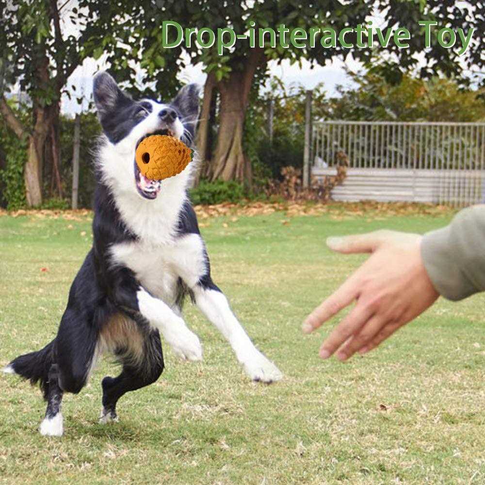 Dog Chew Toys Z674