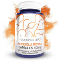 Rhodiola Rosea Capsules 500mg 60 Count R564