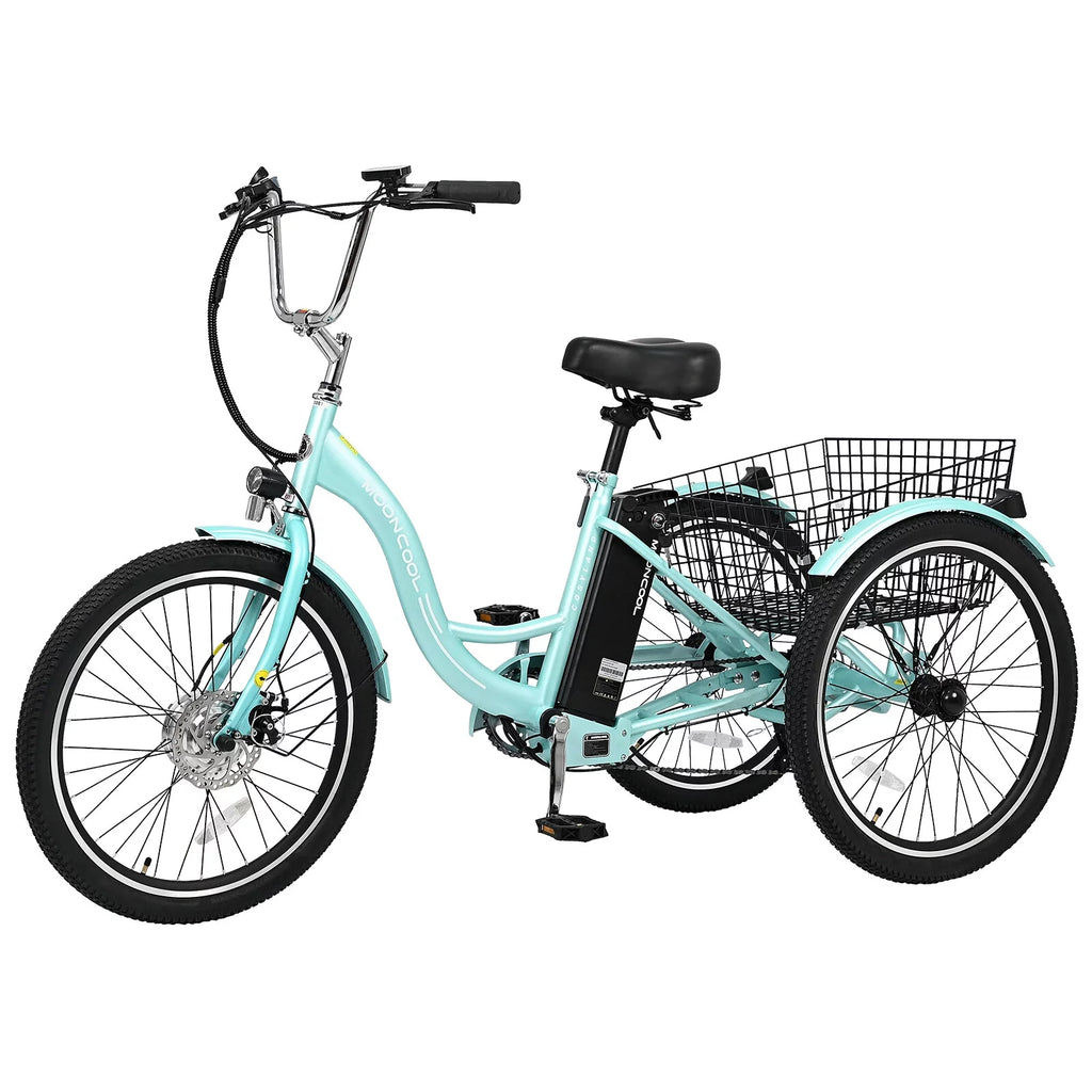 3 Wheel Electric Bike with Removable 36V 10Ah Lithium Battery Q11907