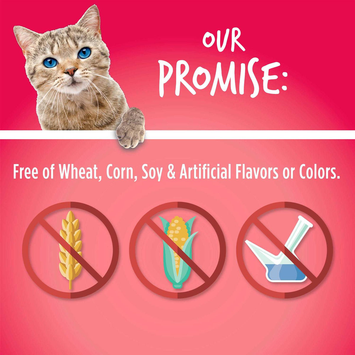 Salmon Cranberry Crunchy Cat Treats L964
