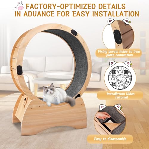 Large Wooden Cat Exercise Wheel with Lock Feature D4728