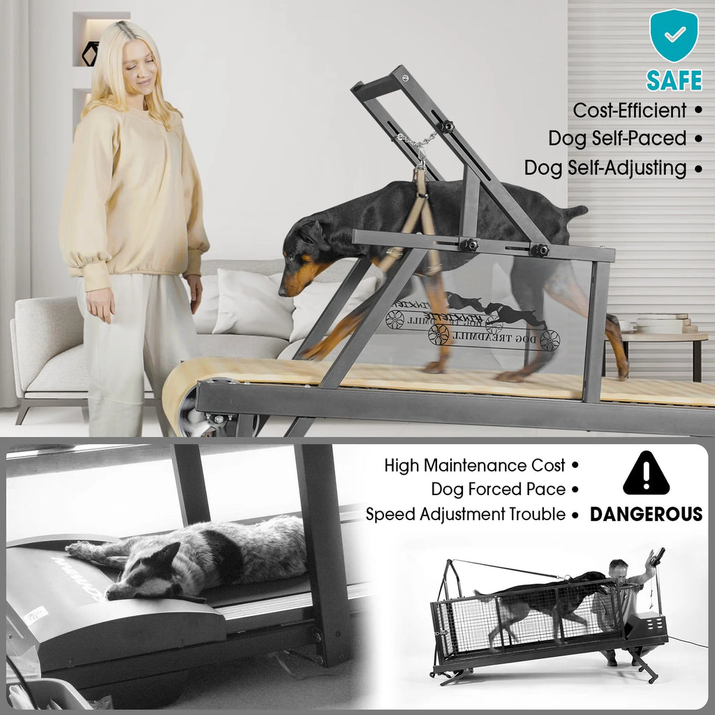 Dog Treadmill for Dogs up to 250 lb X728