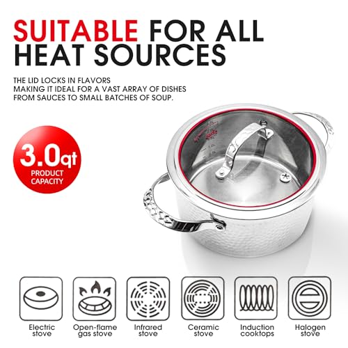 Stainless Steel Stockpot 10 Quart with Lid R7942