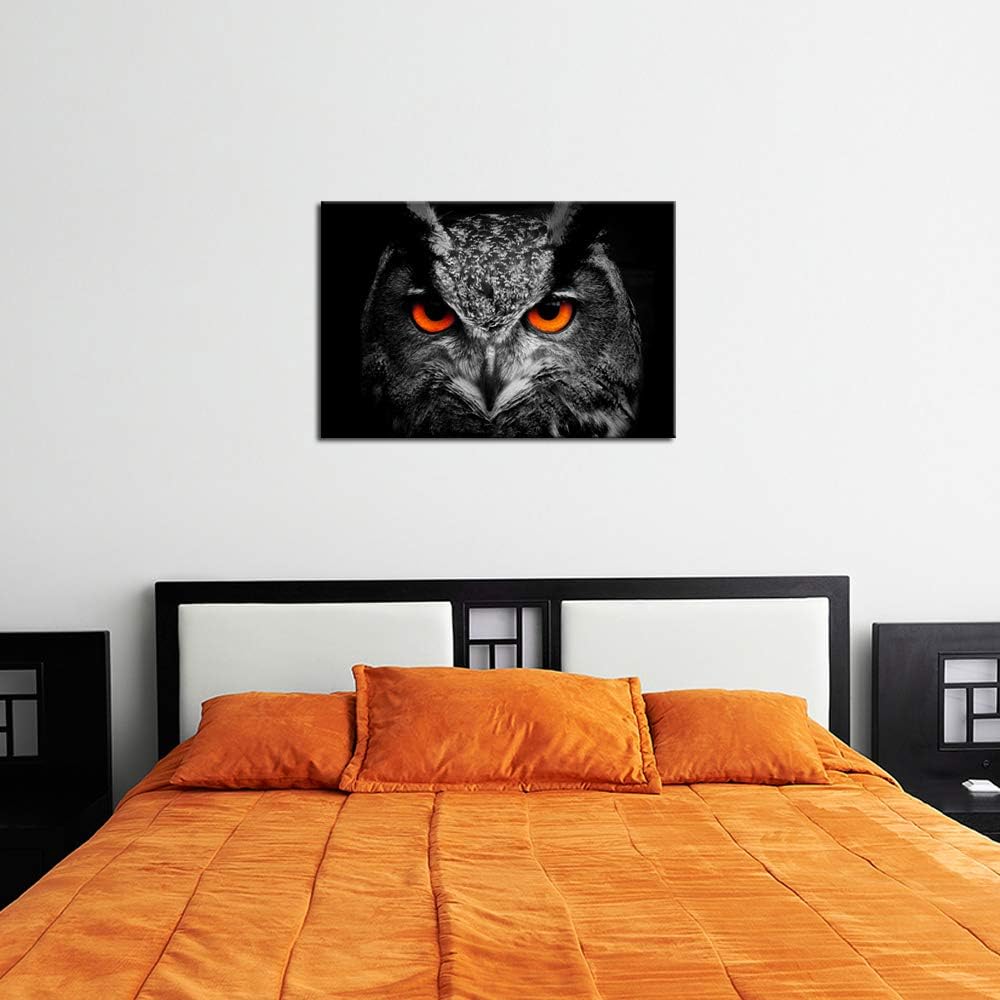 Black White Owl with Red Eyes Canvas Painting Framed Artwork J35332