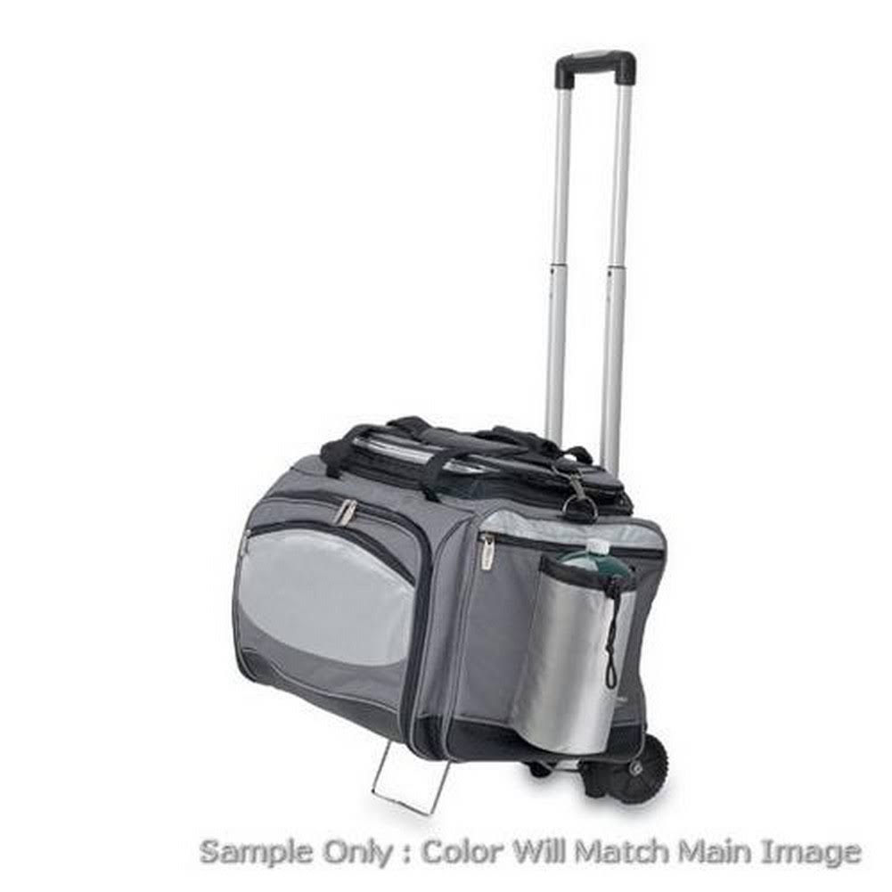 Vulcan Cooler & Propane Grill C5179