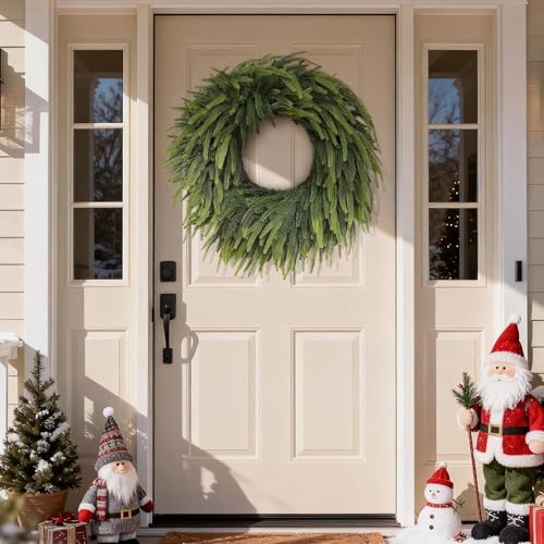 26" Artificial Norfolk Pine Wreath Z8225