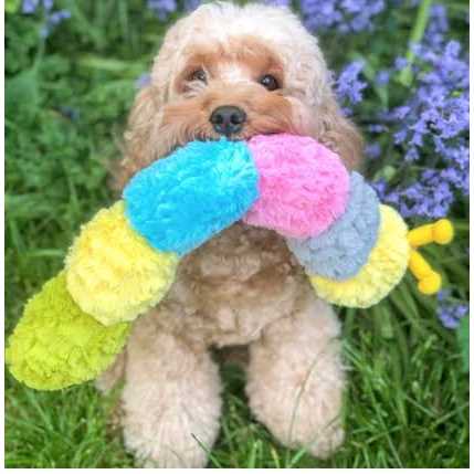 Pastel Caterpillar Pet Supplies R84244