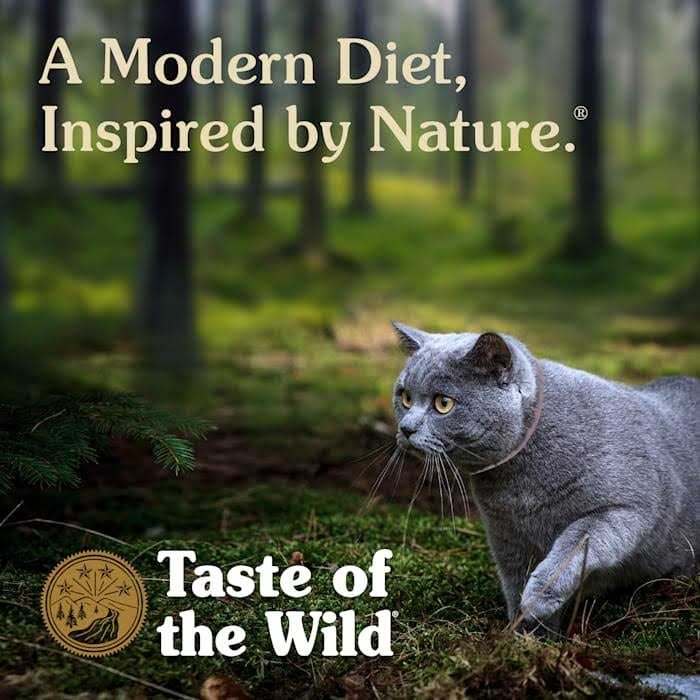 Canyon River Cat Food O723002