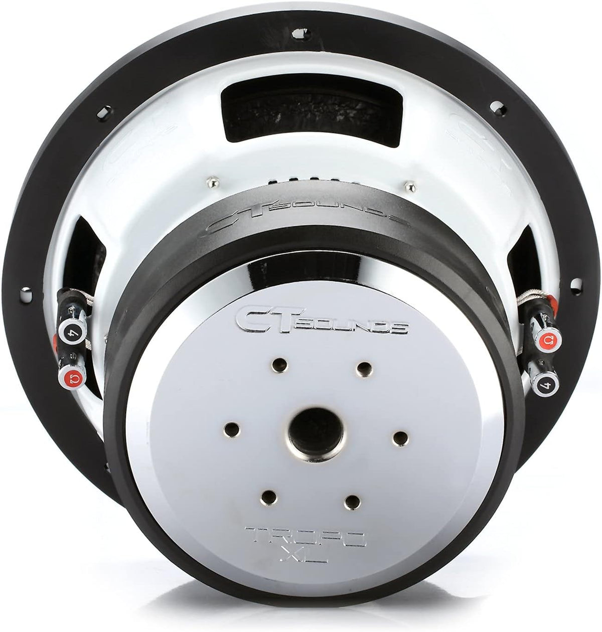 10 Inch 2000 Watts Max Dual 4 Ohm Car Subwoofer I3338