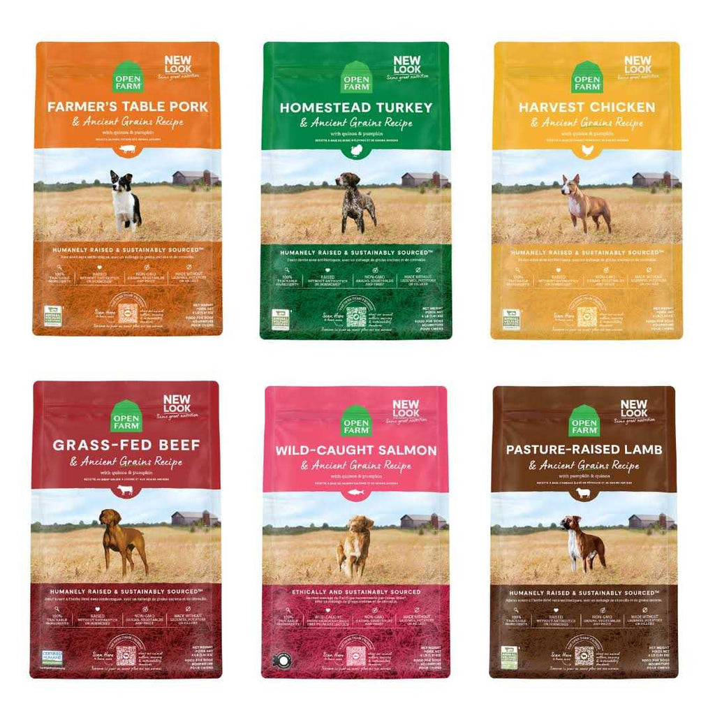Ancient Grains Dog Food I723