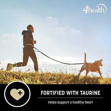 Wholesome Grains Lamb and Rice Dry Dog Food H2541
