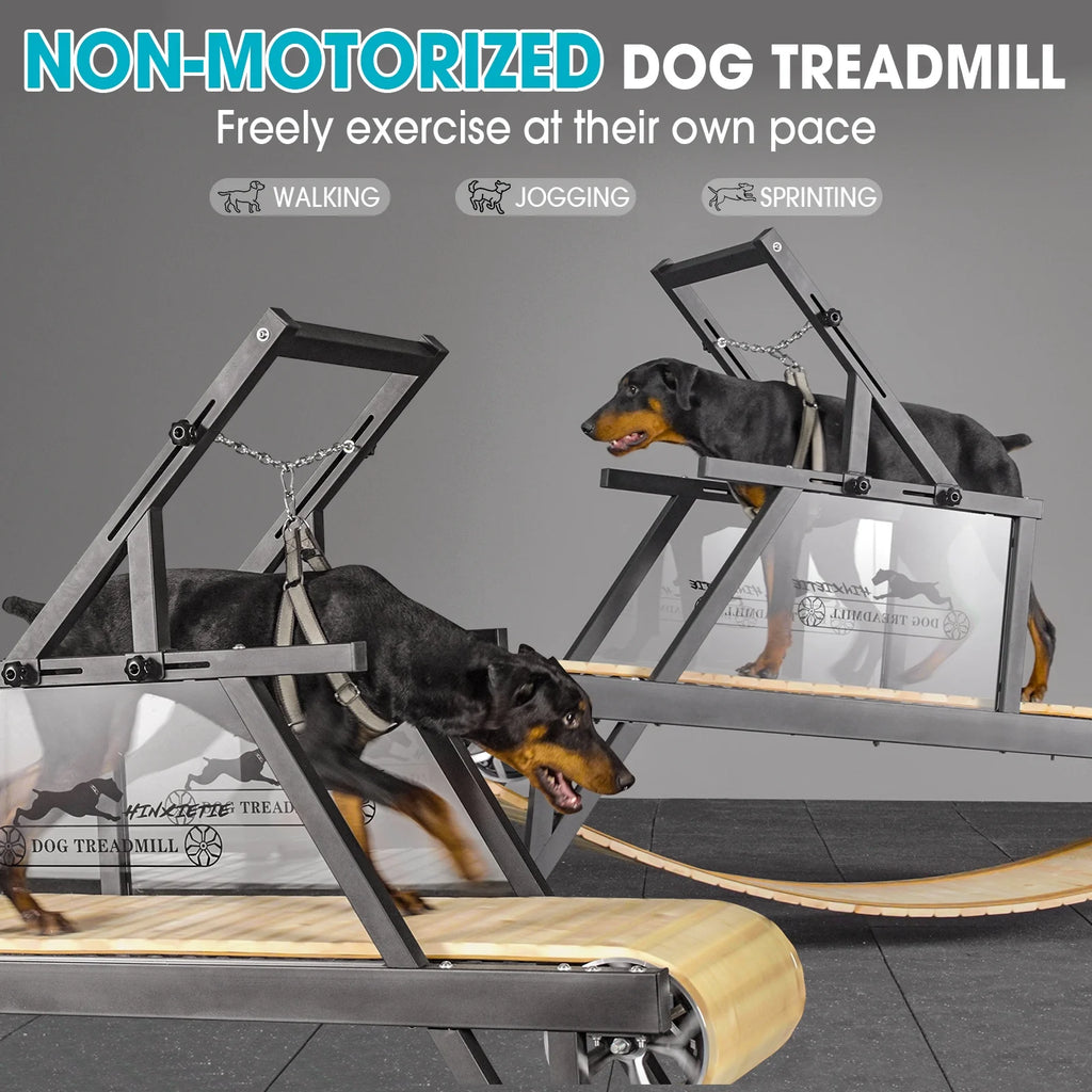 Dog Treadmill for Dogs up to 250 lb X728