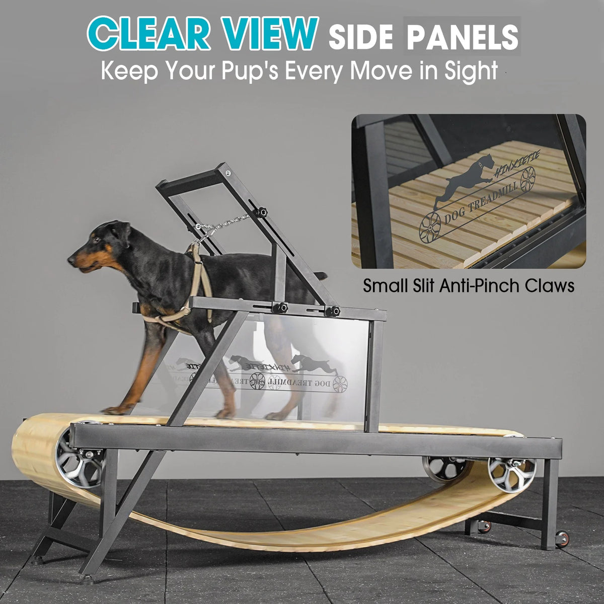 Dog Treadmill for Dogs up to 250 lb X728